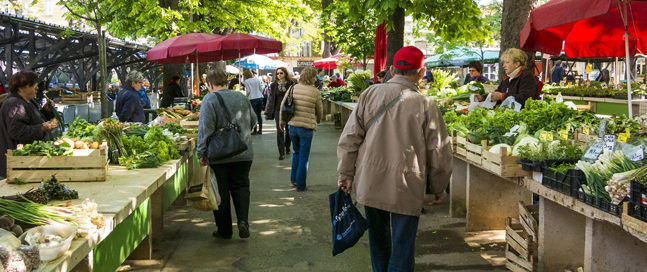 marché alimentation circuits courts