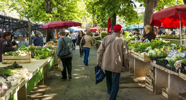 marché alimentation circuits courts