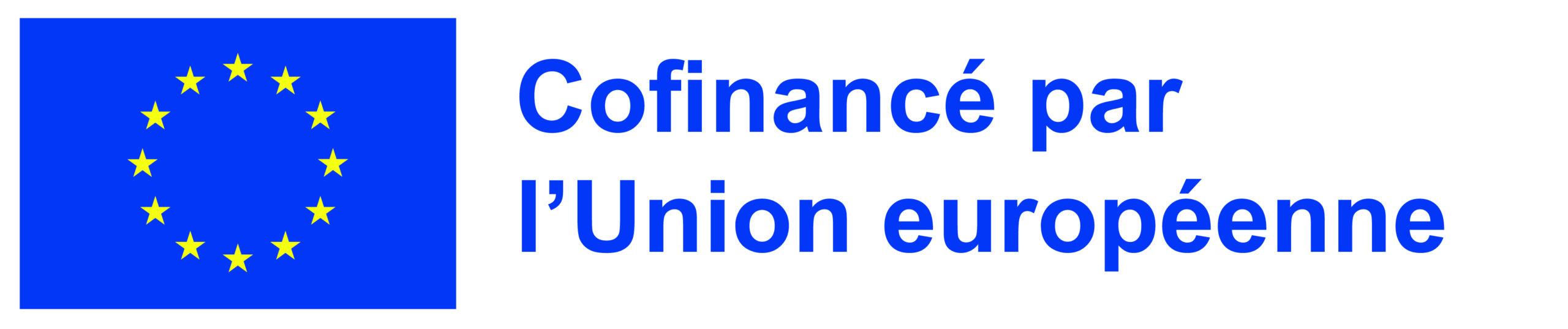 Logo de l'Union européenne