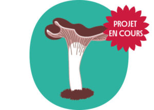 Logo Ptit Roubion