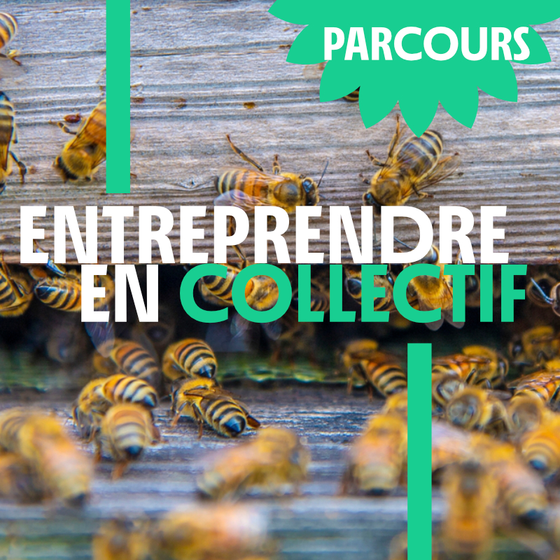 Le Grenade accompagne gratuitement des porteurs de projets collectifs engagés