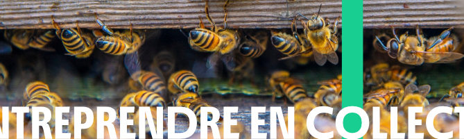 Le Grenade propose un parcours de formation sur l'entrepreneuriat collectif