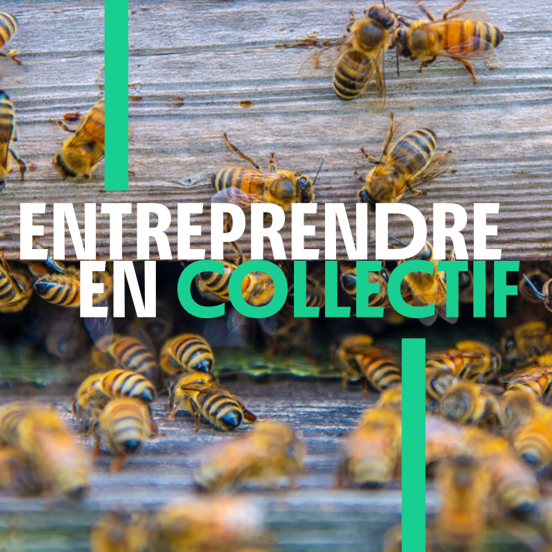 Vignette-carree-presta Le Grenade propose des formations et du conseil sur la gouvernance collective démocratique et la gouvernance partagée.