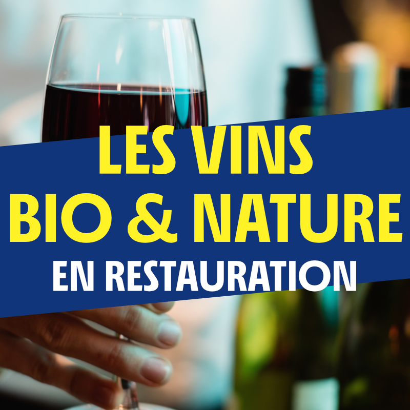 Formation Le vin biologique en restauration
