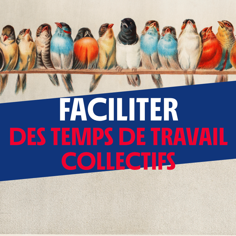 Formation Faciliter des collectifs de travail